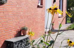 Landhaus Löwenzahn - Foto 2