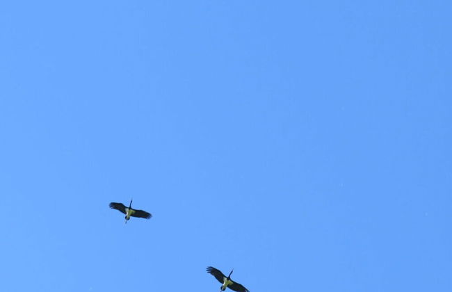 Csilla Comfortable Holiday Residence - Foto 25