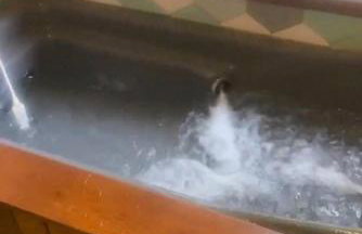 Cabana do Lago- Morro da Borússia - Foto 37