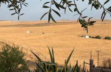 Canto da Planície - Foto 59