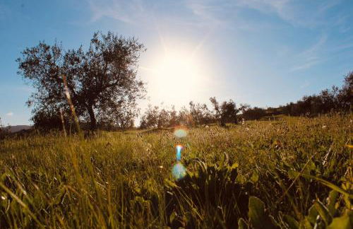 Agricampeggio La Piaggia - Agriturismo - Foto 15