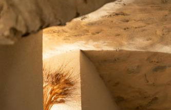 Mas de Thésée Piscine & 12 ha privés - Foto 22