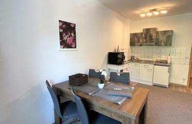 Viadrina Rooms & Apartments Frankfurt-Oder am Park im Zentrum - Foto 33