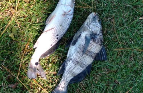 The Dock House - Foto 7