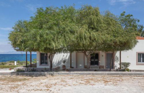 Oinoni's Home - ACHILLES studio - Foto 17