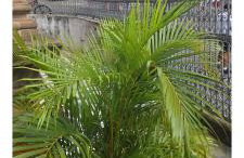 Apto no Centro Salvador - Próximo Pelourinho e demais Pontos Turísticos - Foto 39