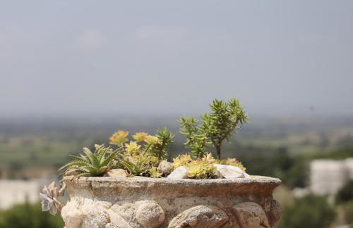EnBonaMà: alquiler de casa de vacaciones con piscina privada y bonitas vistas - ES-366-12 - Foto 25