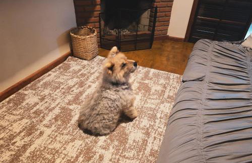 Recanto do Baú - Chalé aos pés da Pedra do Baú - Foto 10