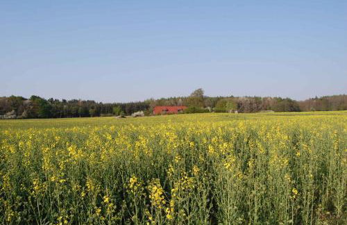 Apartment in Sehlen - Insel Rügen 3075 - Foto 32