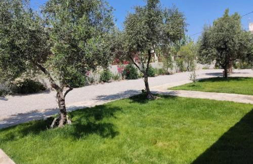 Almmos mezzanine apartments Kalamaki - Foto 49