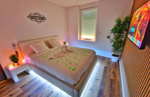 ZEN SPA-4 Pers-Jacuzzi-Parking-Clim-Colmar - Foto 2