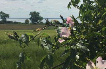 Ferienwohnung Seeblick - Insel Usedom - Foto 46