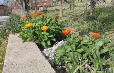 Il giardino fiorito - Foto 28