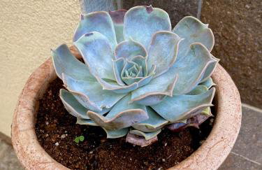 Villa Rudy Holiday Home - Photo 22