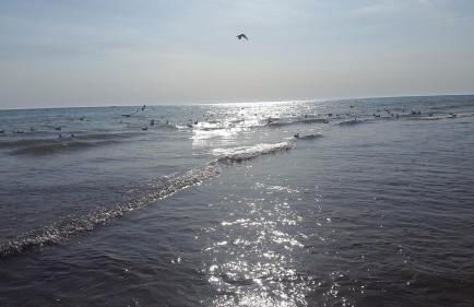 Charmante maison vendéenne proche de la plage - Photo 46