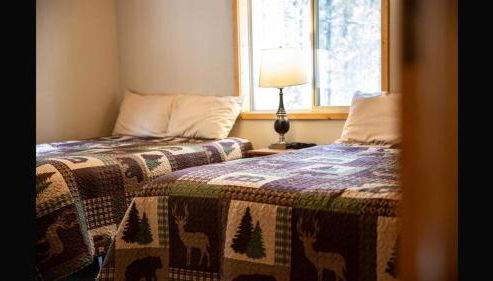 Island Park Hideaway -Bill's Island -Hot Tub -BBQ - Foto 2