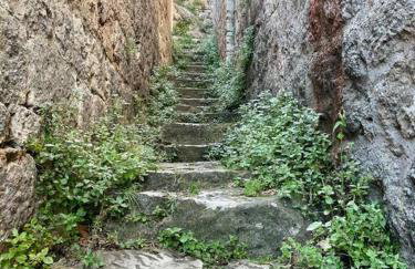 Studio Apartman Ana - Foto 19