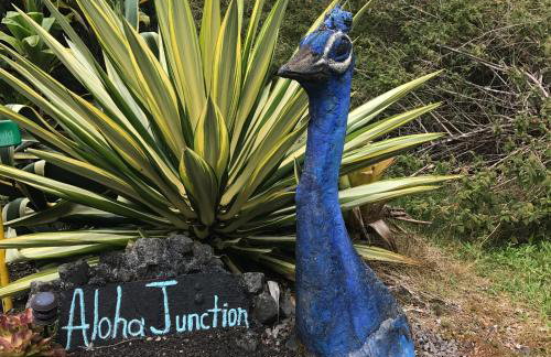 Aloha Junction Bed and Breakfast -Minutes away from Hawaii Volcanoes National Park - Foto 39