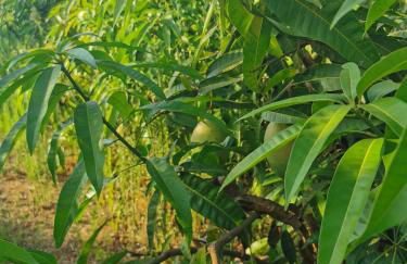 Azienda Agrituristica Baglio Carta - Foto 62