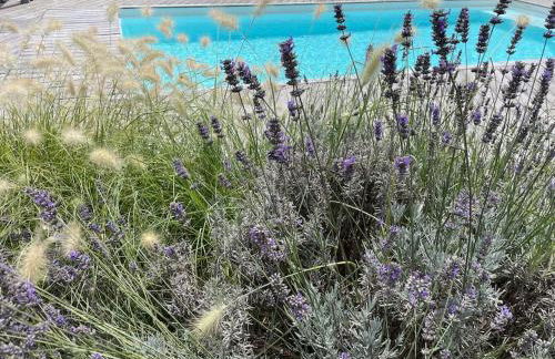 Villa landaise de charme avec piscine chauffée - Foto 27