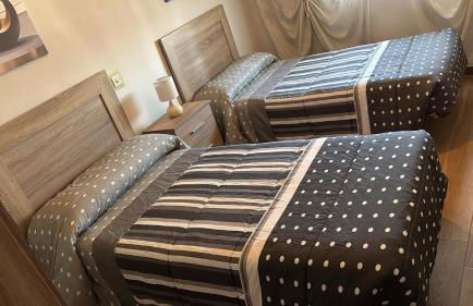 Nido Estebana - Foto 6