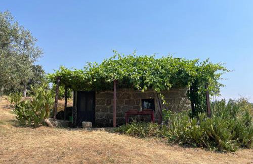 Quinta do Sobral de São Geraldo - Foto 35