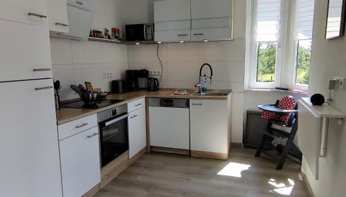 FaFeWo Ferienwohnungen mit Sternekomfort in Tanne Harz - Foto 3, stove, dishwasher, toaster