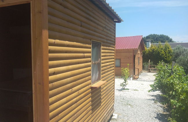 Akarca Bag Evleri - Photo 27