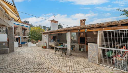 Horta Do Zé Miguel - Foto 5