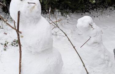 Wandern und Radeln im wunderschönen Teutoburger Wald - Natur Ferienpark 4 - Photo 21