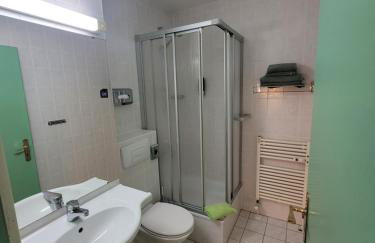 Mitterdorf - apartmán Almberg - Foto 13