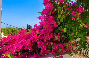 The Summer Pink House - Foto 63