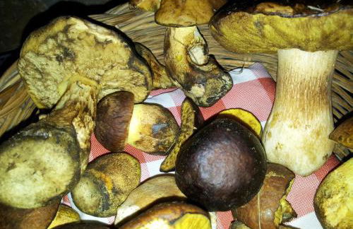 Casale Margherita Turismo Rurale - Foto 42