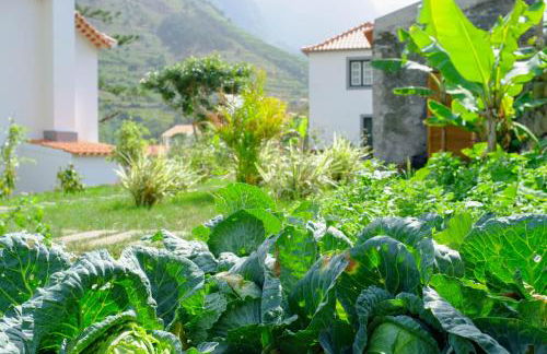 Casa Oliveira Esmeraldo - Guest Houses - Foto 29