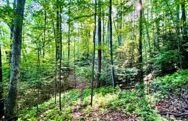 MOONLIGHT MOUNTAIN MANOR - Cedar Hot Tub, Views & Games - Foto 38