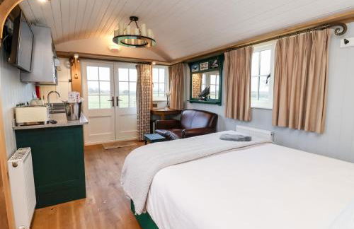 Amy Johnson - Foto 6