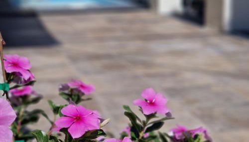 Del Parque Flats Balneario de Pina - Photo 2, Garden