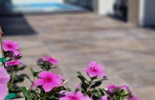 Del Parque Flats Balneario de Pina - Photo 2