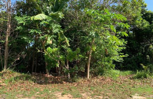 Large house with pool, barbecue and garden - Foto 22