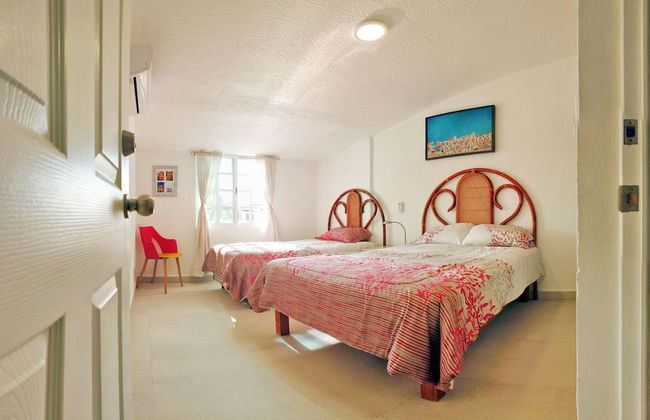 HominngBird - Foto 11