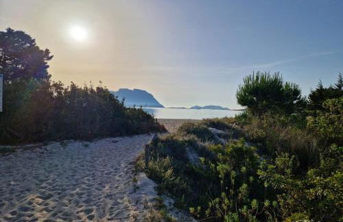 AffittaSardegna - Casa il Giardino dell'Erica - Foto 15