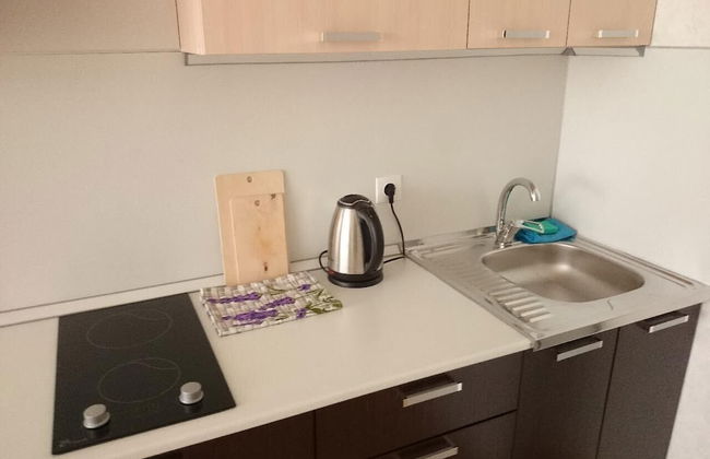 Apartment on Lysaya Gora 36-2a Green Area 5 - Photo 6