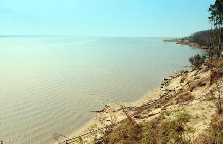 Four Winds - Foto 30