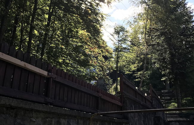 Casita del Bosque - Foto 16