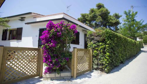 Il Caubbio - Foto 5, Garden, Garden view