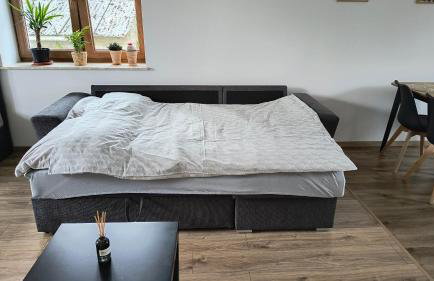 Apartamenty pod Orzechem - Foto 9