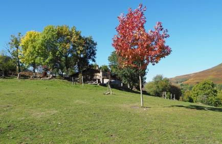 Casa Rincon Pasiego - Foto 41