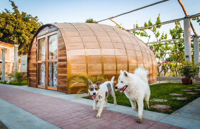 Glamping Toneles y ViƱedos - Photo 29