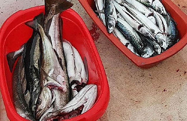 Holiday Home in BrattvÃ¥g - Foto 54