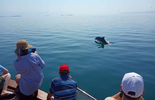 Giro in barca nel Golfo di Arta - Foto 7